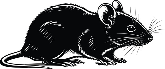 Highly Detailed Black and White Rat or Mouse Vector Illustration, Rodent Animal with Whiskers, Mammal Side View Graphic Design Isolated on White Background for Sticker, Logo, or Pest Control Artwork