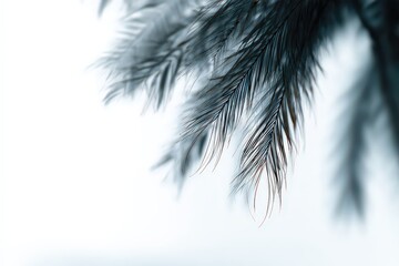 Obraz premium Close Up View of Dark Feathered Texture Against White Background with Scattered Red Detail