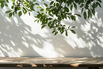 Naklejka premium 植物 机 影