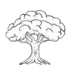 sketch doodle of tree