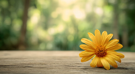 close-up still life of cheerful yellow daisy flower resting gently on rustic wooden table, sharply contrasting with the beautifully blurred green bokeh background of outdoor spring garden