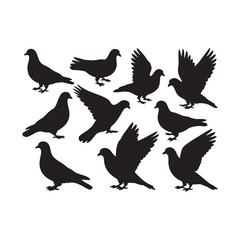 Set of Black Pigeon Silhouettes in Various Poses - Dove Vector Collection Title 2: Flying and Sitting Bird Silhouettes - Peace and Freedom Symbol Vector Graphics Title 3: Collection of Different Dove 