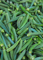 Close up shot of several fresh Okra vegetables for sale