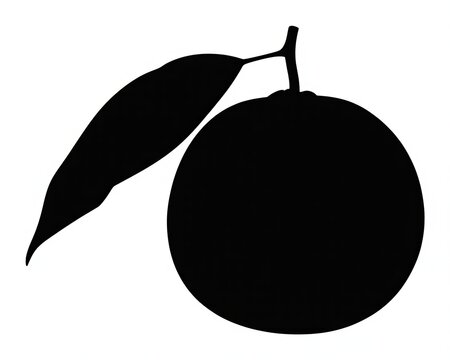 vector illustration of an orrange