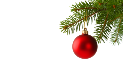 A single shiny red oval christmas ornament hanging from a green fir tree branch isolated on transparent background