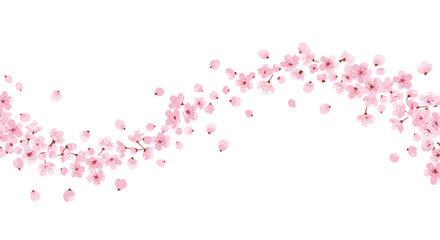Delicate pink cherry blossom branches gracefully curve across a white background with falling petals.