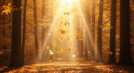 Fototapeta premium Golden autumn forest with sunlight rays piercing through falling leaves