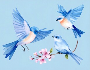 cute abstract blue birds and blossom spring branches, delicate watercolor illustration elements