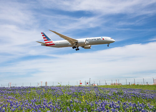 American Airlines aircraft Boeing 787-9 Dreamliner landing at Dallas Fort Worth International Airport (DFW). Springtime, Texas bluebonnet field, blue sky and white clouds.