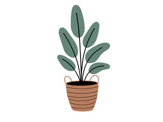 Obraz premium Minimalist flat illustration of plant on the pot