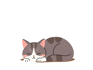 cute sleeping cat isolated on transparent background—flat illustration