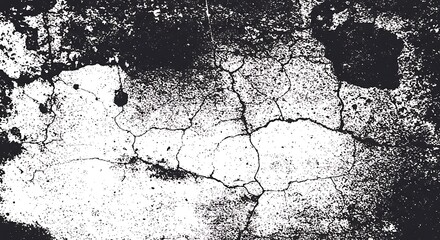 Monochrome image depicts a weathered and cracked surface, with a detailed texture