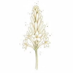 Obraz premium White chrysanthemum flower bloom, isolated on a white background with green leaves