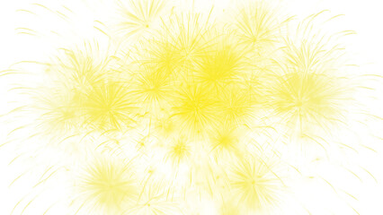 Obraz premium Sparkling, colorful fireworks explosion. New Year's fireworks explosion 2026