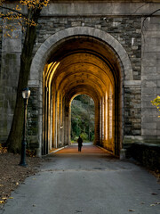 Naklejka premium Autumn scenery sunset at Fort Tryon park
