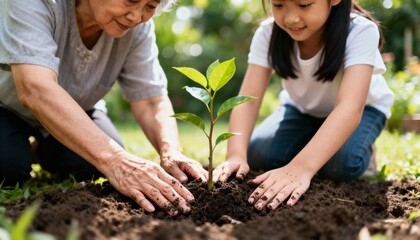 Happy Asian grandmother and young granddaughter planting a small green seedling or young tree in rich dark soil in an outdoor garden, teaching environmental conservation and sustainability for future