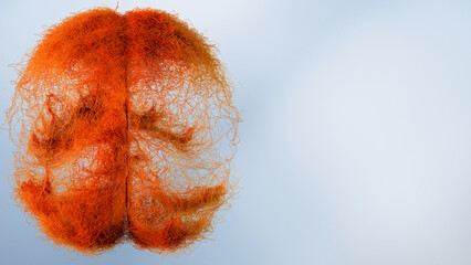 human brain anatomy showing neurons, axons, synapses, and neural networks with cerebral blood vessels and circulation. Neurobiological and anatomical concept representing neurology, 3d render