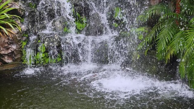 Garden Waterfall, Natural waterfall flowing over moss covered rocks with lush green plants, creating a refreshing and relaxing atmosphere. Ideal for travel, nature, and spa footage