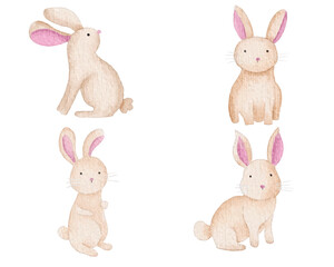 Cute Rabbit Watercolor Illustration Set