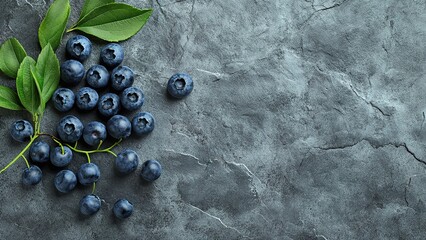 blueberry fruits isolated on concrete stone background