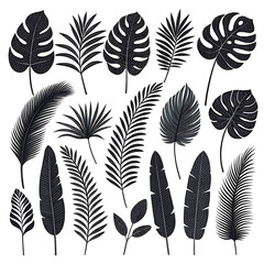 Collection of tropical plant leaf silhouettes