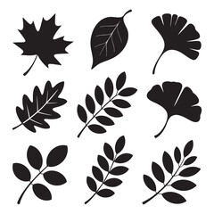 Collection of nine black leaf silhouettes on white background leaves