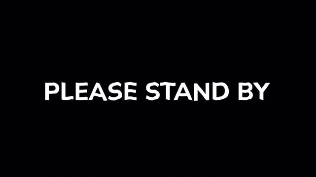 A clear and concise on-screen message displaying 'PLEASE STAND BY' serves as an essential placeholder during service interruptions, technical delays, or program pauses