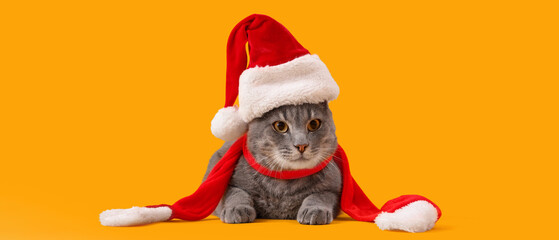 Cute cat in Santa hat lying on yellow background
