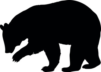 Black silhouette of a bear walking on a white background