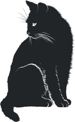 Silhouette of a black cat sitting and looking up