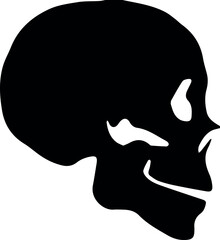 Black silhouette of a human skull on a white background