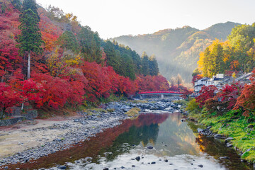 朝の香嵐渓の紅葉と待月橋（愛知県j豊田市足助町）