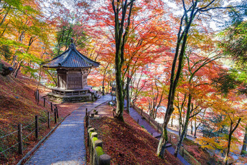 香嵐渓　飯盛山の紅葉（愛知県豊田市足助町）