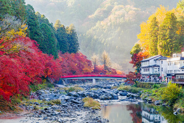 朝の香嵐渓の紅葉と待月橋（愛知県j豊田市足助町）