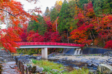 香嵐渓の紅葉と待月橋（愛知県j豊田市足助町）