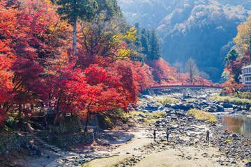 香嵐渓の紅葉と待月橋（愛知県j豊田市足助町）