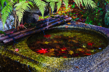 紅葉の落ち葉が綺麗な手水（香嵐渓　愛知県豊田市足助町）