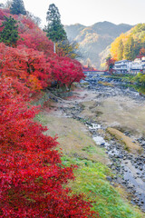 紅葉に染まる香嵐渓の朝（愛知県j豊田市足助町）