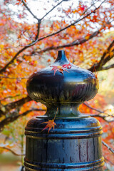 朝露に濡れる秋の待月橋の擬宝珠（香嵐渓　愛知県豊田市足助町）