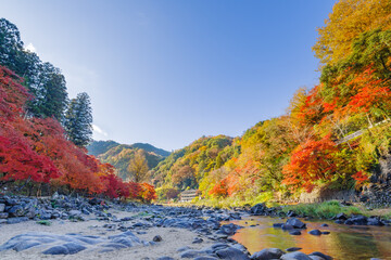 香嵐渓の紅葉と巴川（愛知県j豊田市足助町）
