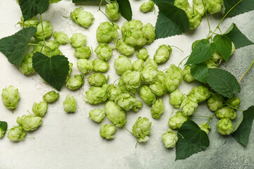 Fresh green hops with leaves on grunge background