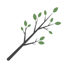 Simple tree branch with green leaves vector illustration design