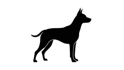 Alert black dog standing in profile, isolated white background