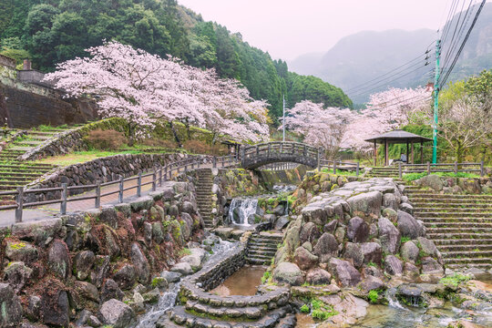 Okawachiyama village garden with cascading water and pink cherry blossom tunnel, Imari, Saga, Japan. Famous travel destinaton for village of the Secret pottery kilns.