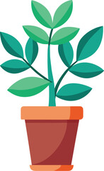 Potted plant