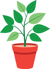 Potted plant