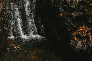 the foot of a waterfall in an autumn forest