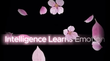 Floating cherry blossoms and petals with text overlay on a black background in soft pink hues