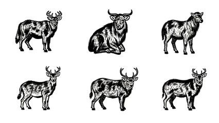 Fototapeta premium Monochrome vector illustrations showcasing deer and bull in various poses with shading and line
