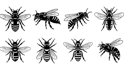 Collection of stylized black and white bee vector illustrations showing different views